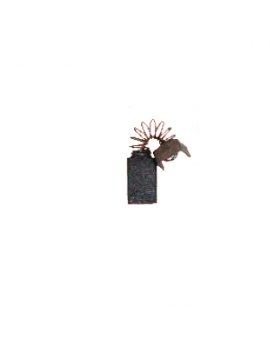 Perii colectoare AEG AEG1142STD - ForeStore.ro