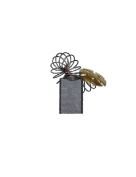 Perii colectoare AEG AEG1201STD - ForeStore.ro