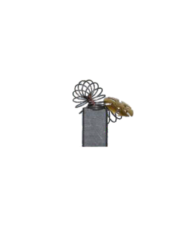 Perii colectoare AEG AEG1201STD - ForeStore.ro