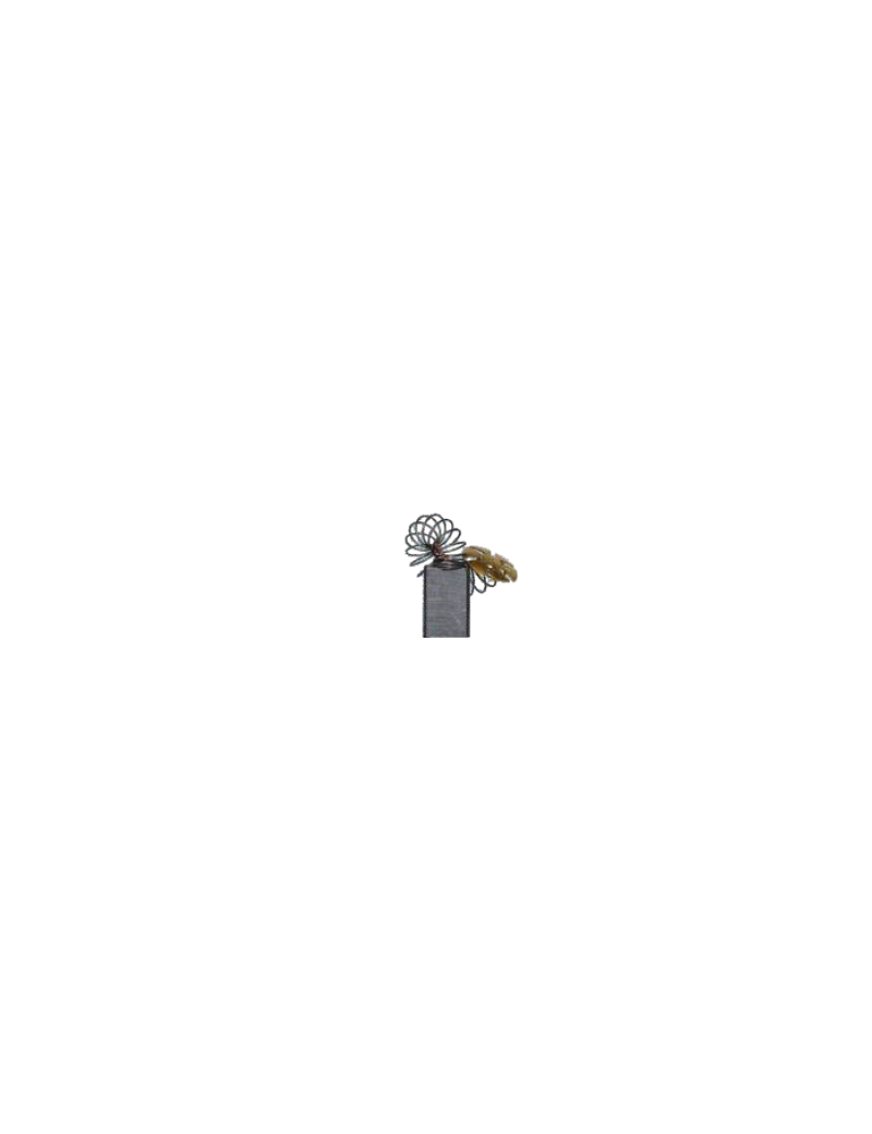 Perii colectoare AEG AEG1202STD - ForeStore.ro