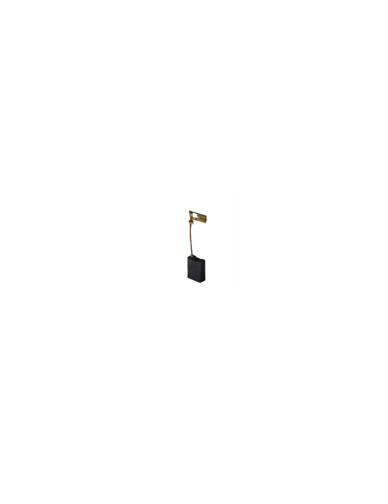 Perii colectoare AEG AEG1313STD - ForeStore.ro